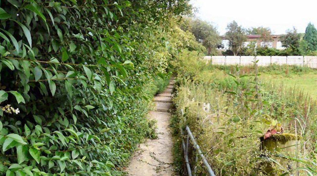 Footpath to Mottram Church From Broadbottom Road.