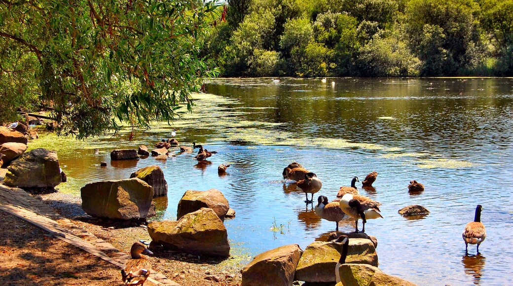Landscaped area where once stood a coal mine.