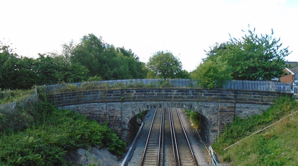 View south from the (new) School Lane bridge.