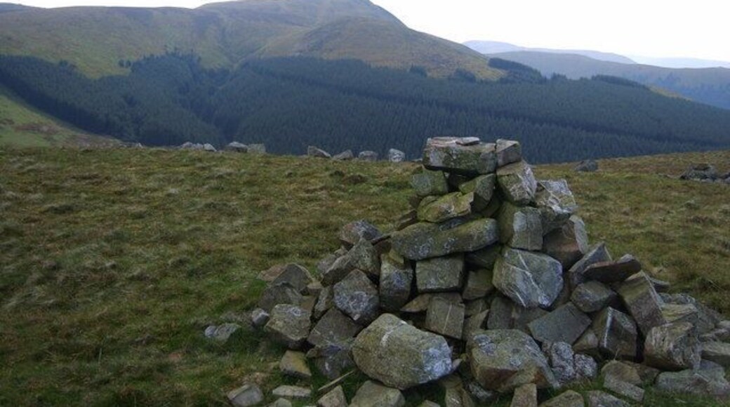On Owsen Fell Looking over the plantations towards Blake Fell