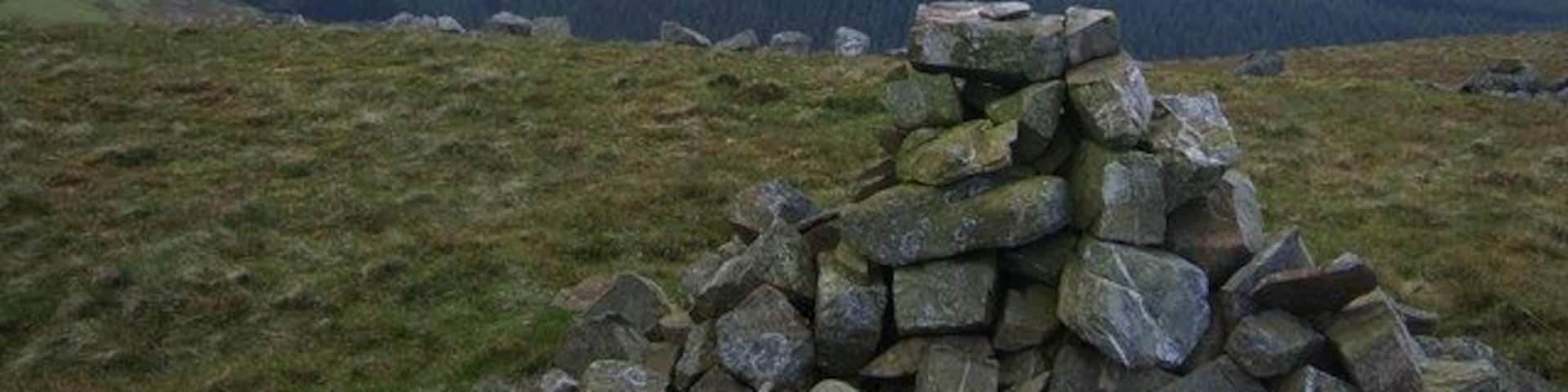 On Owsen Fell Looking over the plantations towards Blake Fell