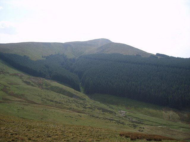 Wisenholme Beck Looking over the beck from Owsen Fell