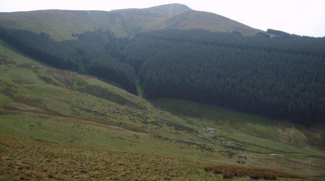 Wisenholme Beck Looking over the beck from Owsen Fell