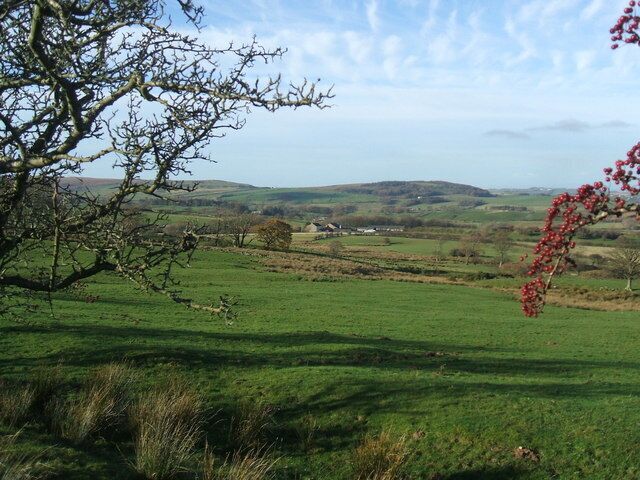 Fields NW of Owsen Fell
