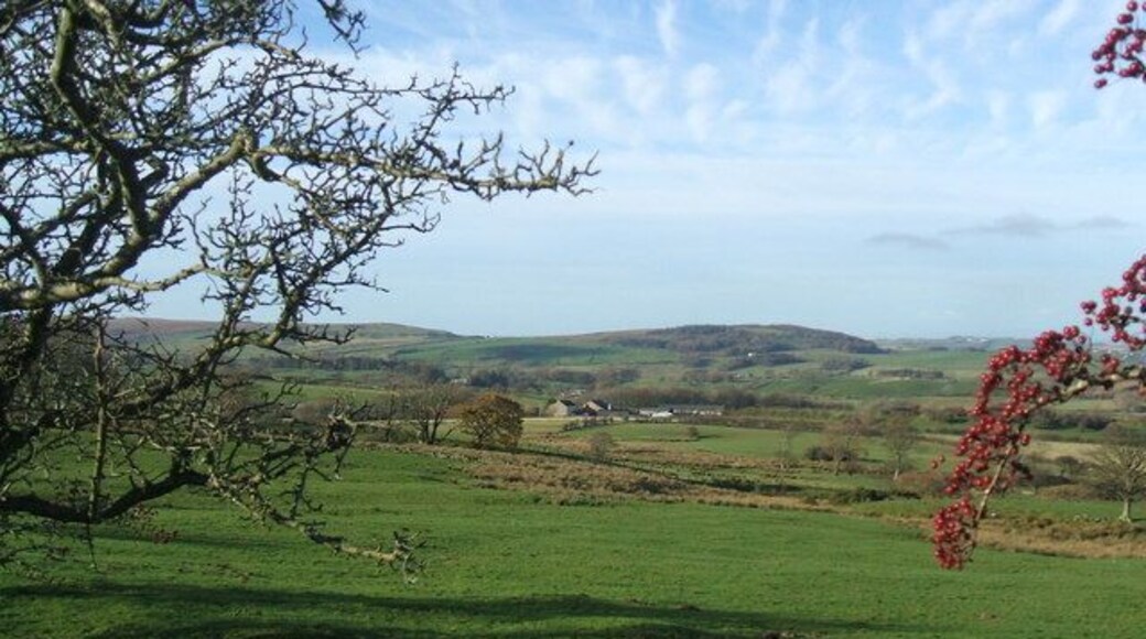 Fields NW of Owsen Fell