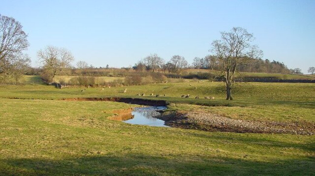 Morland Beck. This tiny meander is due to become a cut-off.