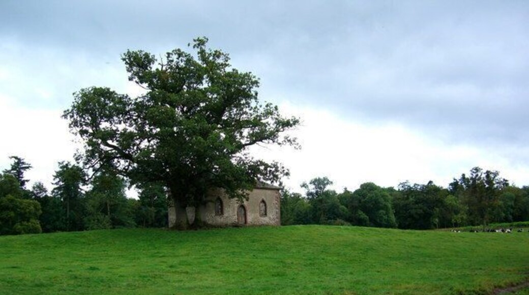 Old Building in front of Town Wood