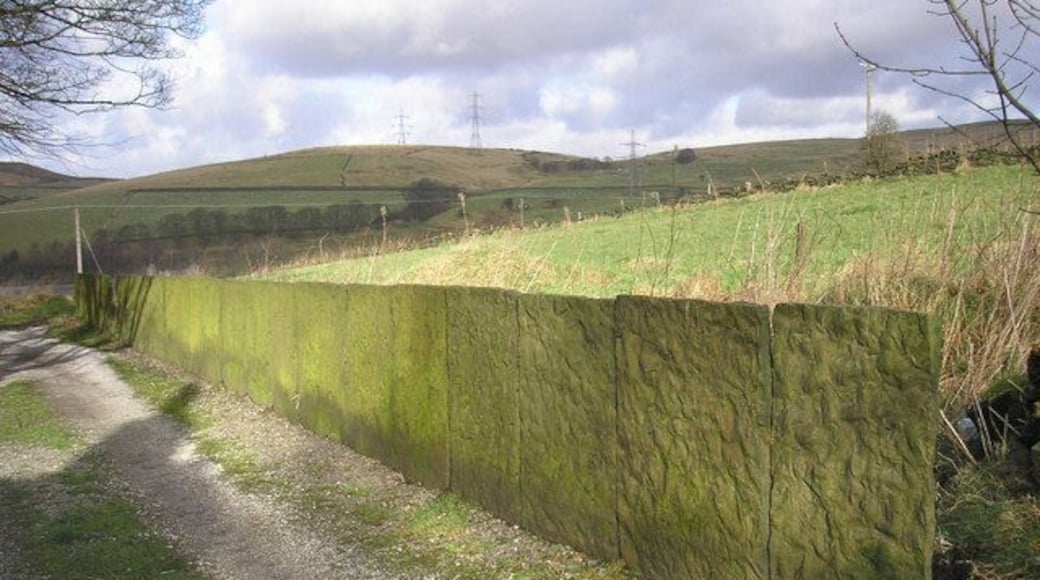 Vaccary wall This type of wall made of up-ended stone slabs is known as a vaccary wall. The name implies that such walls were intended to mark the boundary of a cattle farm.