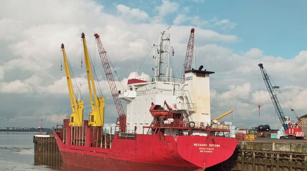Unloading Timber at New Holland Dock Photo taken from the public footpath.