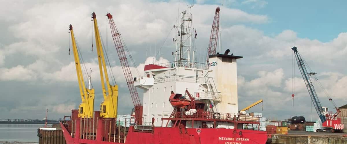 Unloading Timber at New Holland Dock Photo taken from the public footpath.