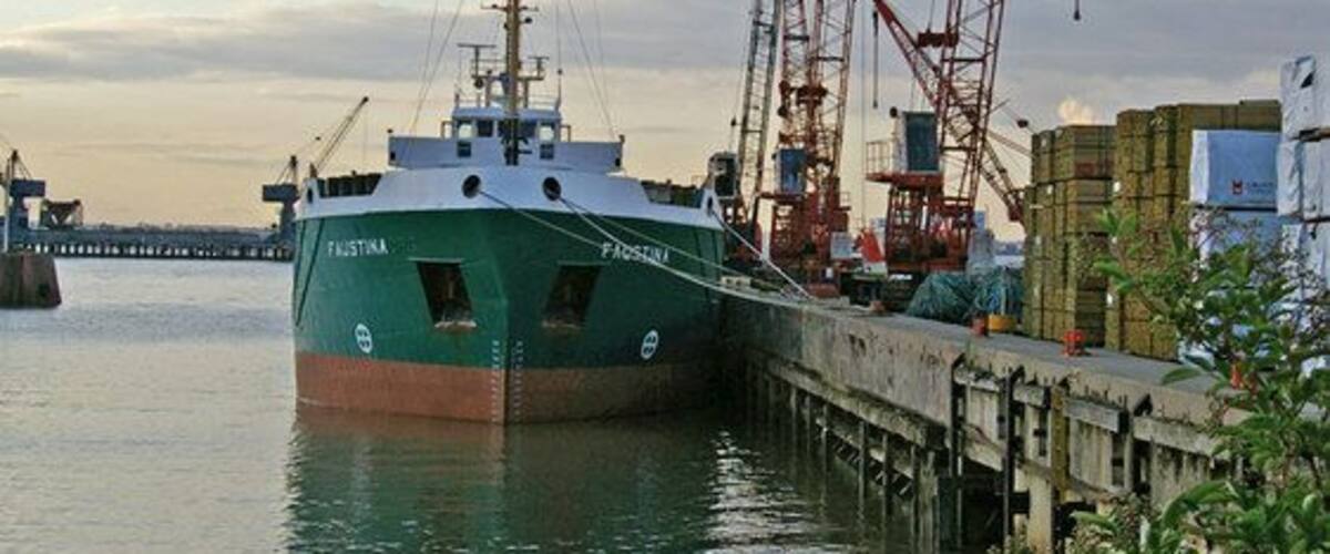 The Quay at New Holland Dock This facility is mainly used for the importation of packaged timber. Photo taken from the public footpath.