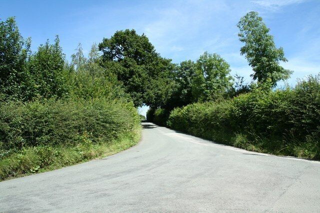 A rural road curving through a green landscape with dense foliage on both sides.
