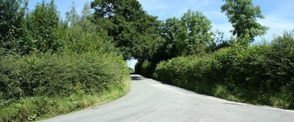 A rural road curving through a green landscape with dense foliage on both sides.
