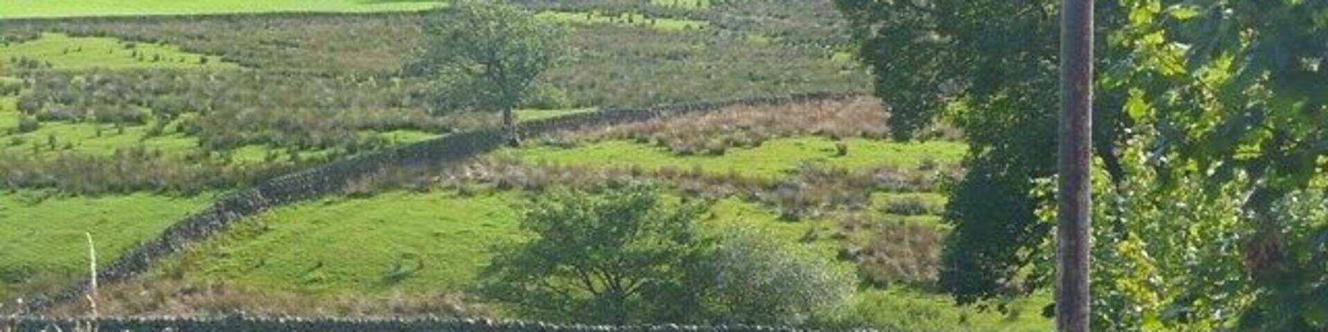 Track near Lower Sheepwash This leads to the farm at Upper Sheepwash, and is a public footpath.
