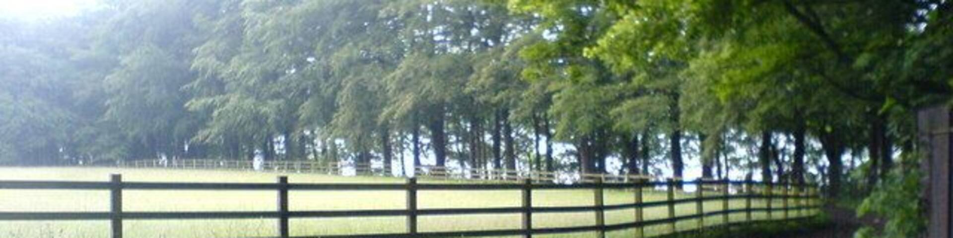 Footpath near Lower Rivington Reservoir