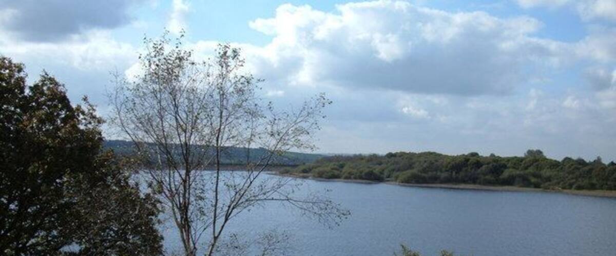 Un lago con alberi e colline sullo sfondo.