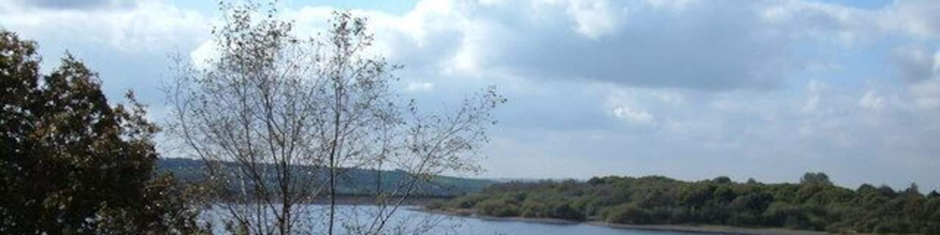 A lake with trees and hills in the background.