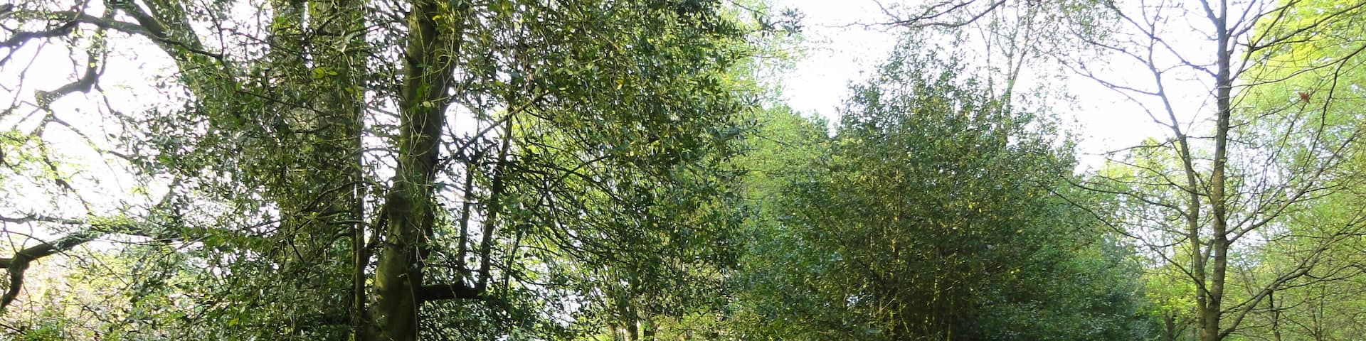 Rivington Good Friday 2011 Old entrance to Hall