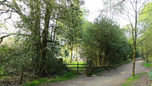 Rivington Good Friday 2011 Old entrance to Hall
