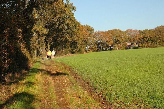Out for a walk - Shevington Vale