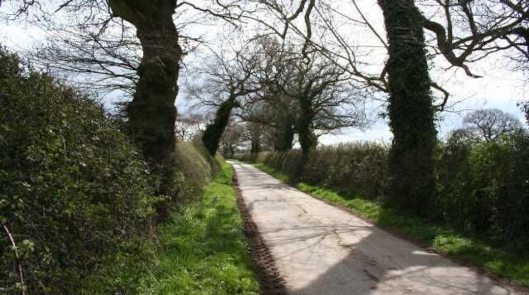 Purser Lane Quiet country lane near Shocklach.