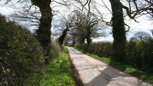 Purser Lane Quiet country lane near Shocklach.