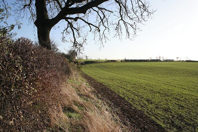 Farmland near Coston. Looking WNW up a gentle rise, about 130 metres above sea level.