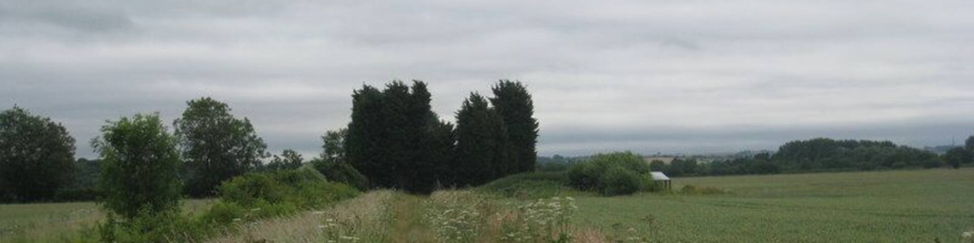 Footpath to Stubton Gorse