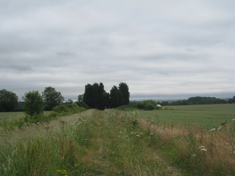 A rural landscape with a grassy field, a cluster of trees, and a distant white building.