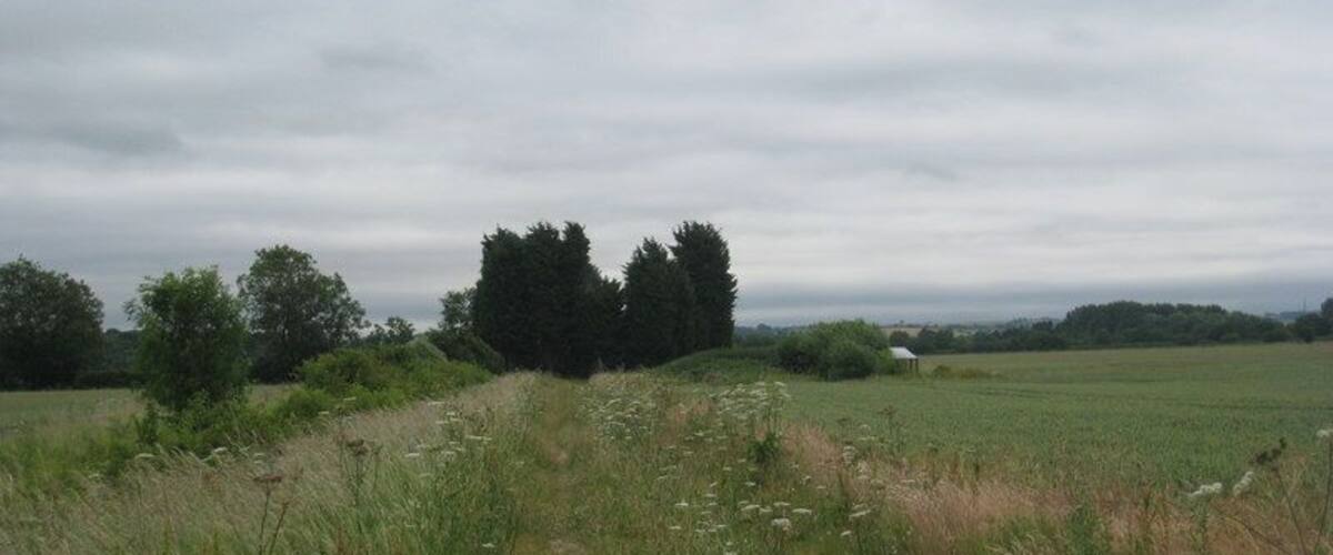 A rural landscape with a grassy field, a cluster of trees, and a distant white building.