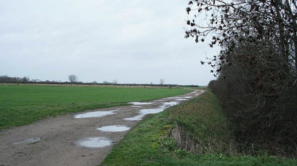 Public footpath near Stubton This farm road goes to a private airstrip running left to right on the horizon. The footpath goes to Fenton.