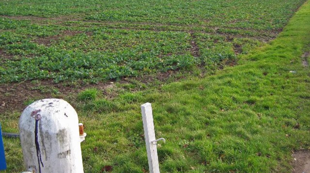 Humber Dale, Swanland, East Riding of Yorkshire, England. Looking SE to Humber Dale over the farmland in this area. The north tower of the Humber Bridge can be seen beyond the trees.
