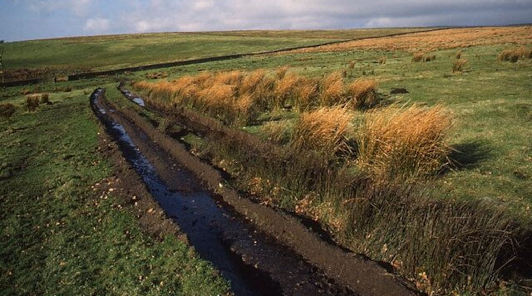 Farm road from Wyresdale Tower