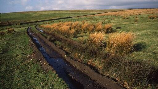 Farm road from Wyresdale Tower