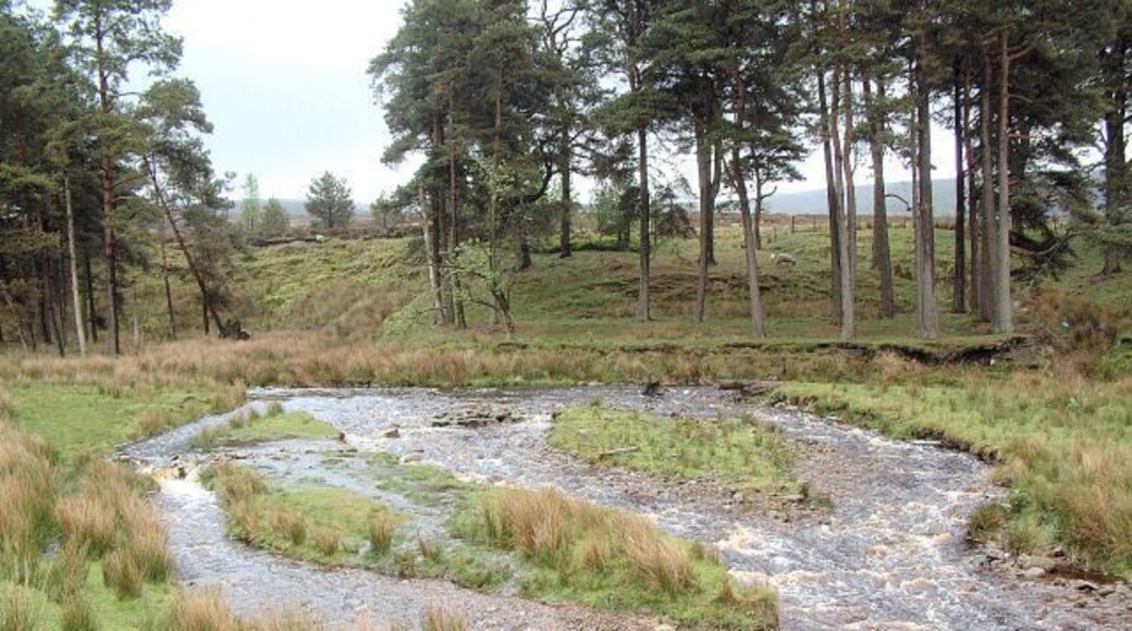 Braided Channels at Marshaw Wyre. looking upstream (north east) from 598536 after a couple of days of heavy rain.