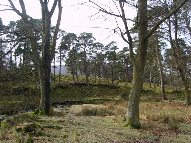 By the Marshaw Wyre A popular pic nic spot on the trough road by the banks of the Wyre. I recall the whole family, primus stove, little tables and crockery, chairs and rugs by the bank in the early 60's on summer weekends.