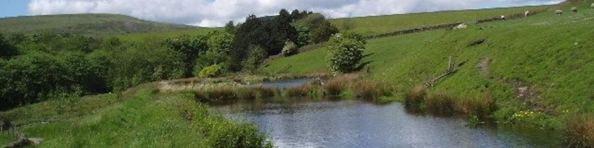 Old mill pond near Wardle, Lancashire.