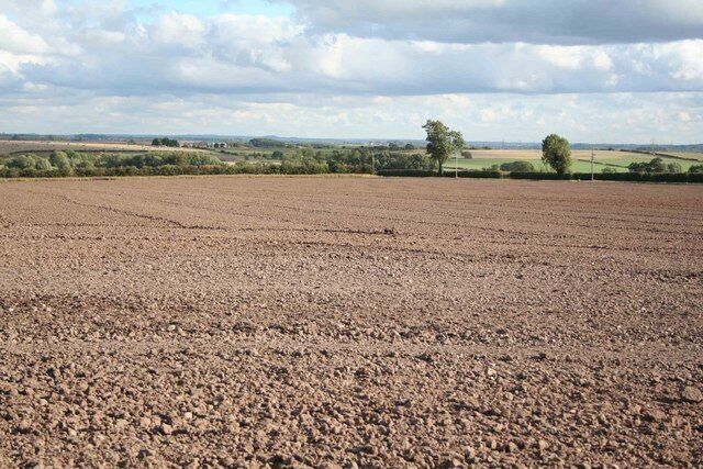 Distant view across the fields