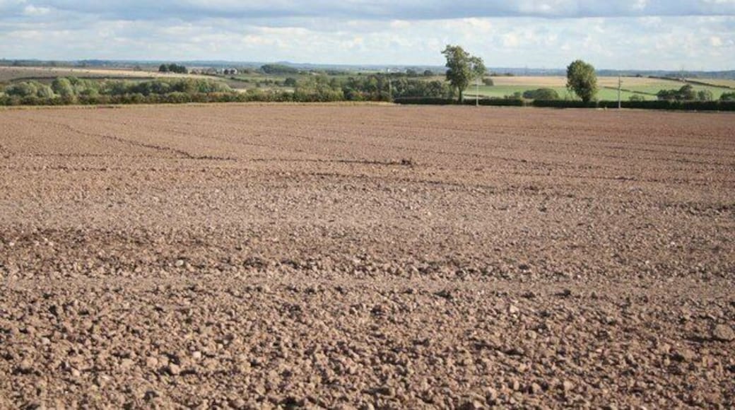 Distant view across the fields