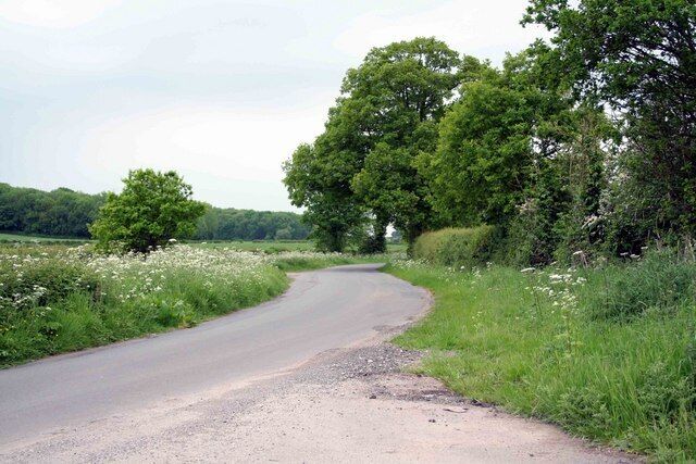 Country Road Typical of the countryside around here with trees and arable land.