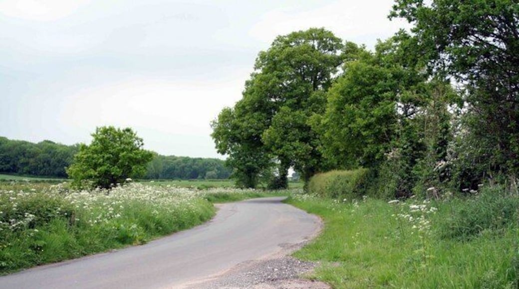 Country Road Typical of the countryside around here with trees and arable land.