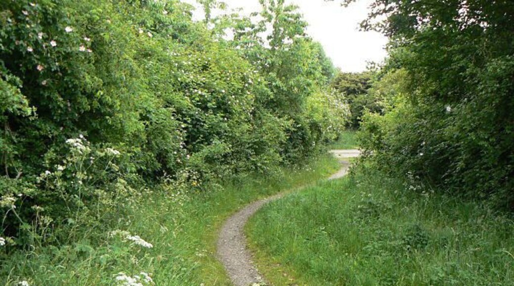 Down to the main path The former railway alignment is crossed here by a main path linking the Wilford Hill (Compton Acres) estate with Ruddington Lane. The old embankment has already been cut away at this point, but it will be entirely removed for the proposed tramway extension to Clifton which will run at the normal ground level. There will be a tram stop at this location.