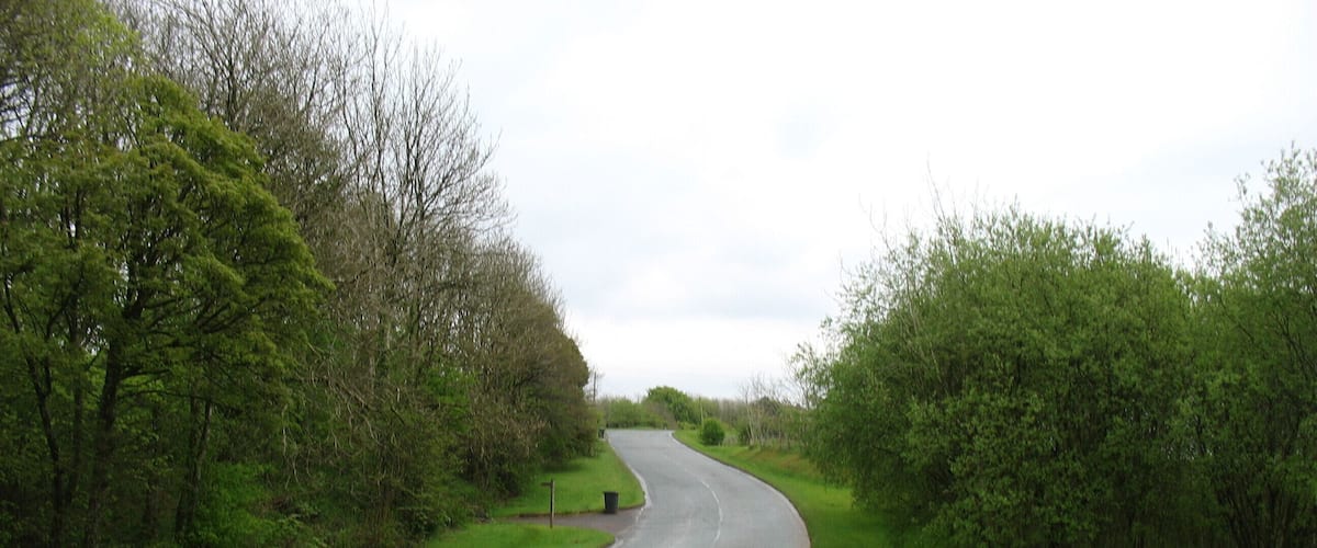 A curving country road flanked by dense green trees and grass.