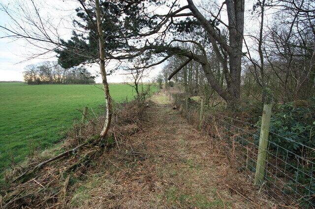 New Public Footpath Now diverted around the wood, rather than through it.