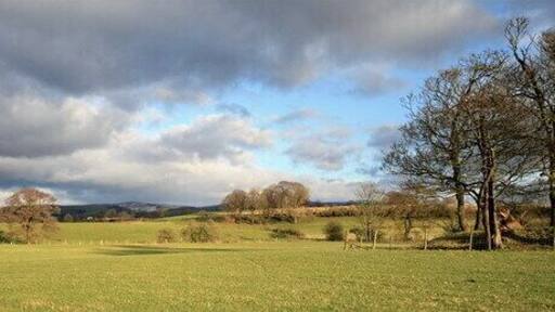 Grazing Pasture at Nateby Hall The Lancaster Canal is in mid-distance , with Nicky Nook and the Bleasdale Fells as a backdrop.