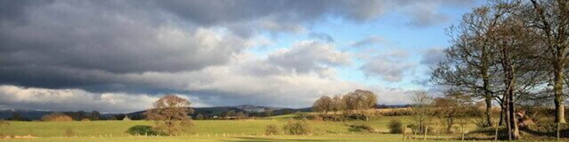 Grazing Pasture at Nateby Hall The Lancaster Canal is in mid-distance , with Nicky Nook and the Bleasdale Fells as a backdrop.