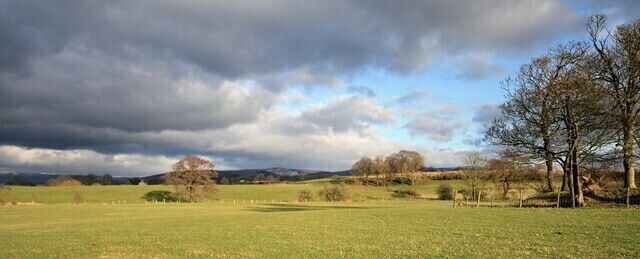 A grassy field with a few trees and a cloudy sky.