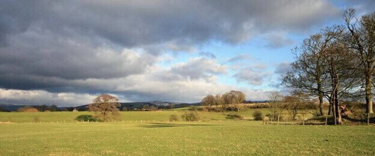 A grassy field with a few trees and a cloudy sky.