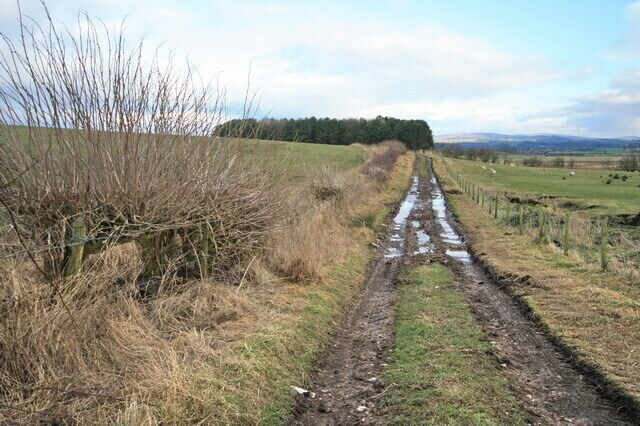 Track to the Wood A public footpath