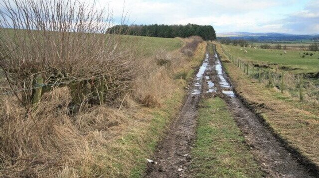Track to the Wood A public footpath